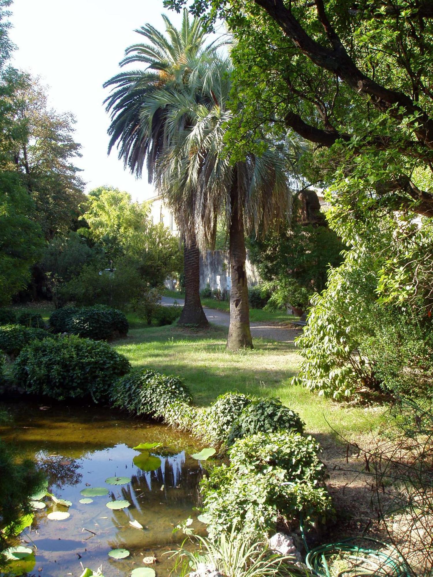 Apartamento Hagley Park Hidden Gem Christchurch Exterior foto